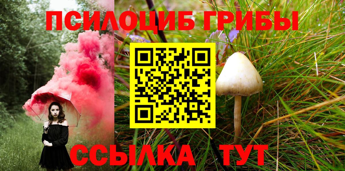 Псилоцибиновые грибы Magic Shrooms Кировск