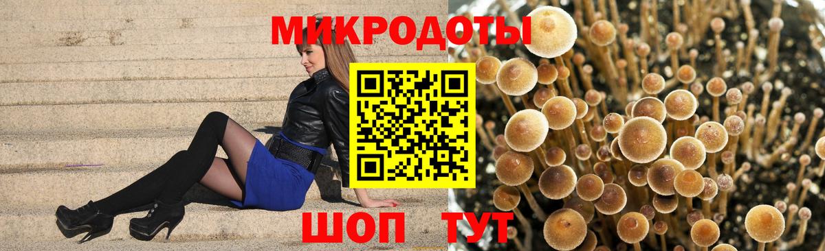 Кировск  Галлюциногенные грибы Magic Shrooms  Вход с VPN  Псилоцибиновые грибы мицелий 