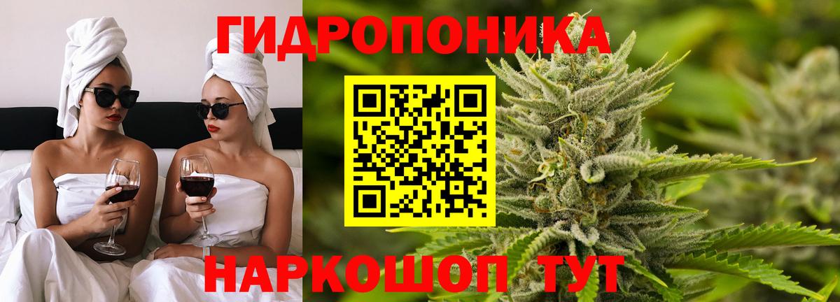 Марихуана тримм  Бошки марихуана Amnesia  Кировск  Шишки марихуана SATIVA & INDICA  Вход с VPN 